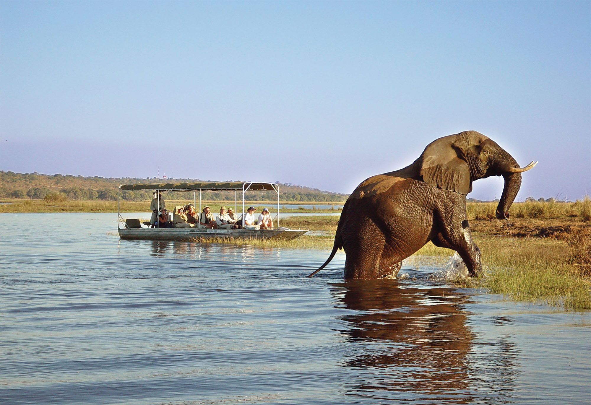 Матусадона: олицетворение Африки в её первозданной красоте